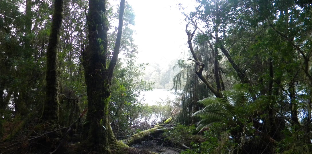 Corrina Tasmania