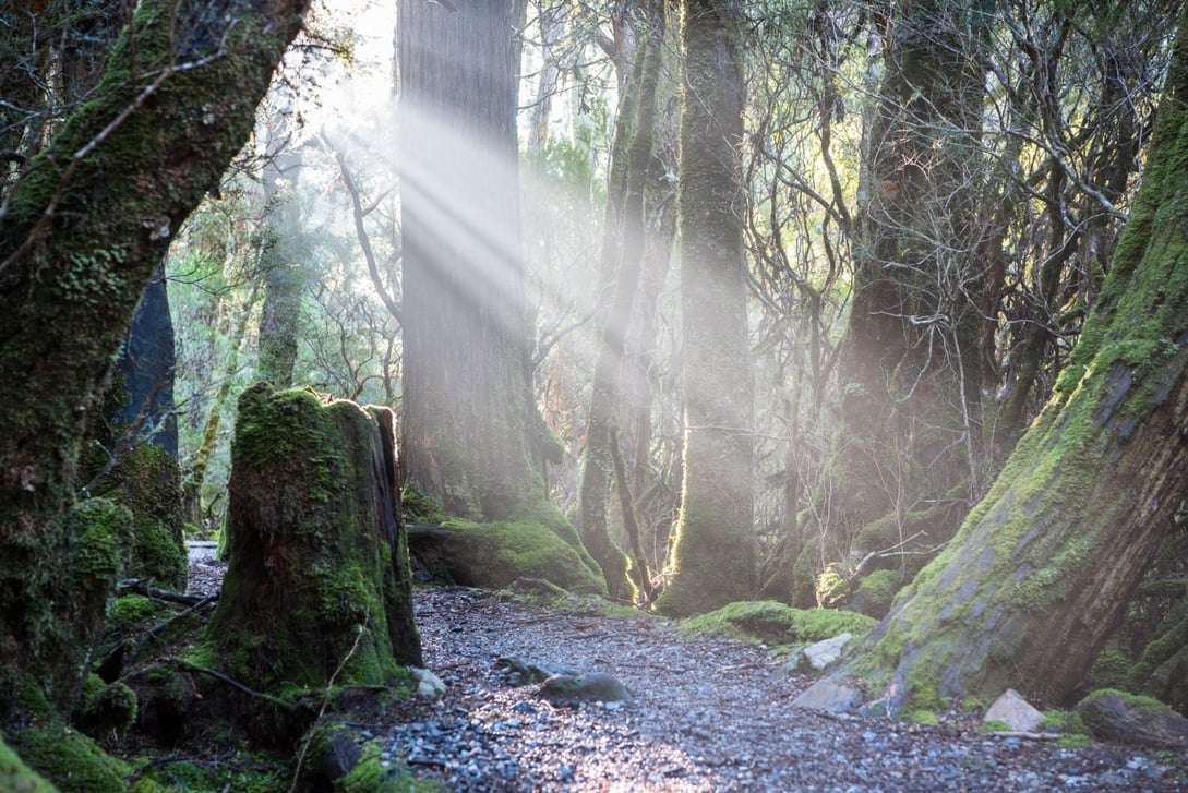 Cradle Mountain Tasmania